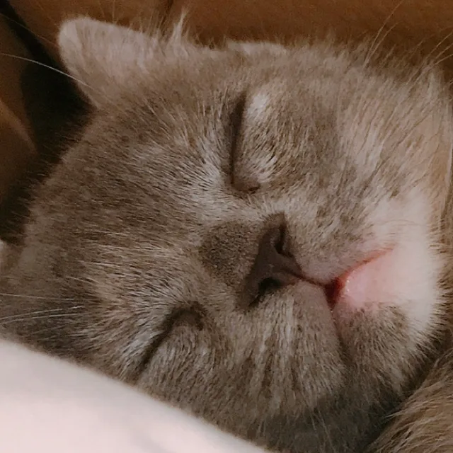 크림