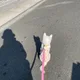 하르하랑