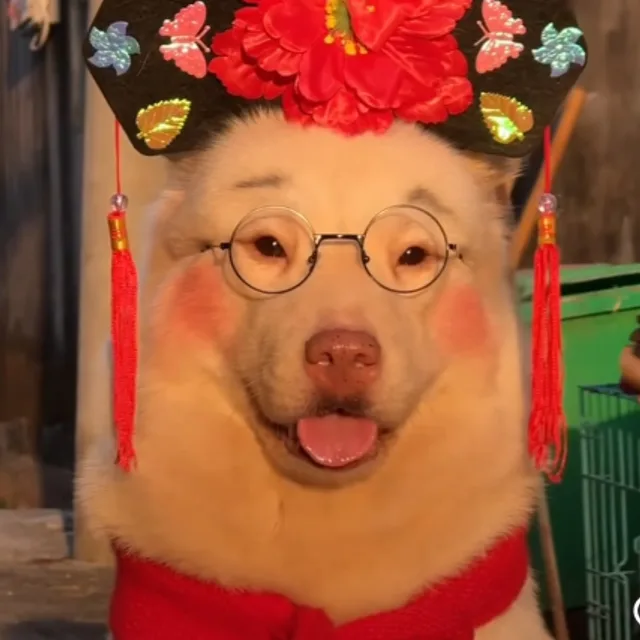 무럭무럭당근