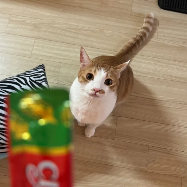 뿡빵이