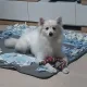유진아배