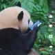 우수