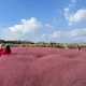 바밤