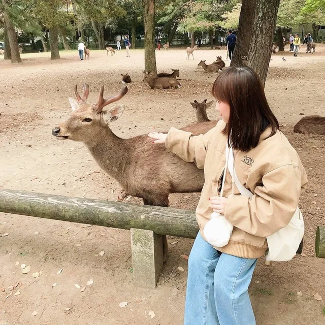 모든택배안해요