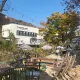 팡교팡교