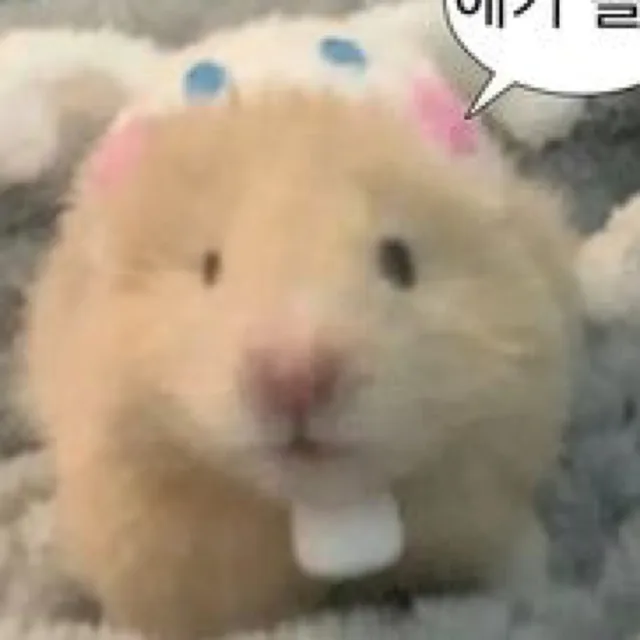 빵쁘레