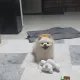 변씨주방