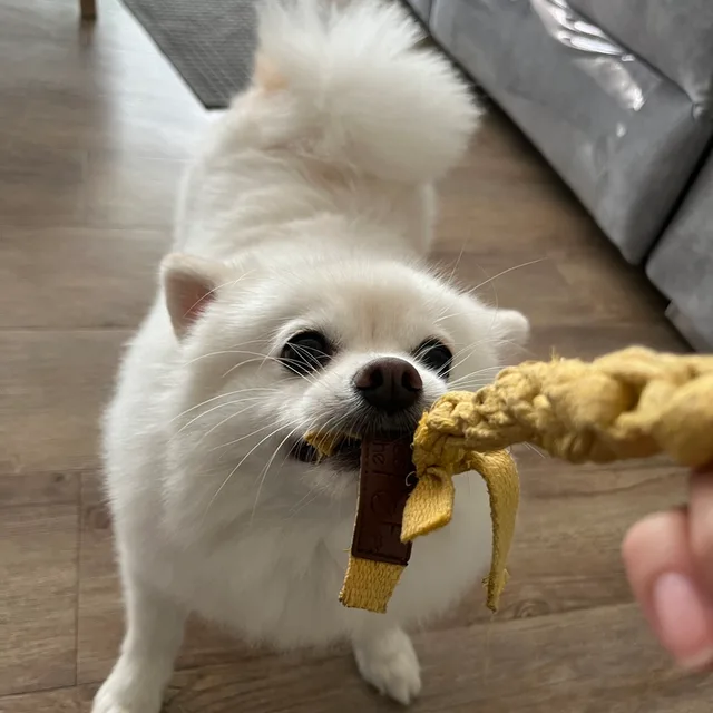 방구석초록이