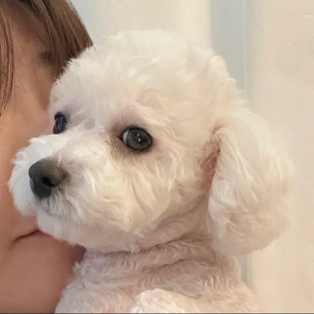 꽁따빠
