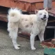 Been버리지마세요