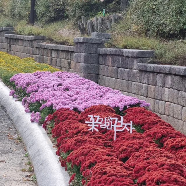 레이첼