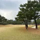 골푸골푸