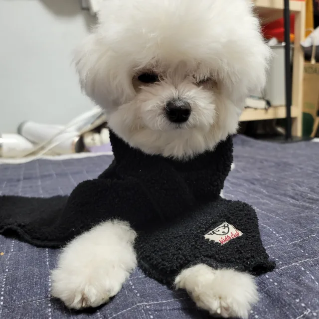 이힛