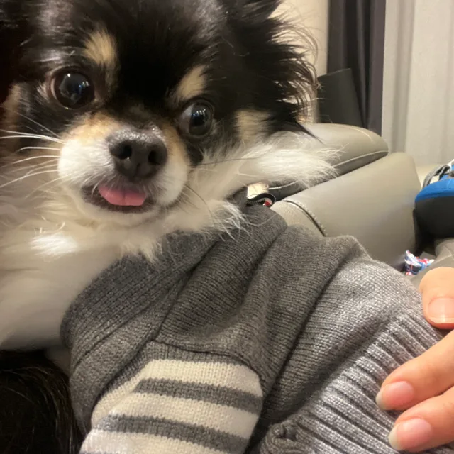 야무진