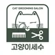 고양이세수