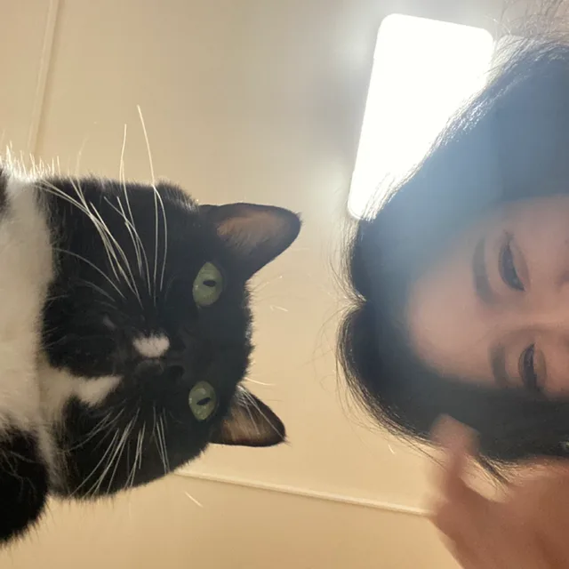 아토까미74여