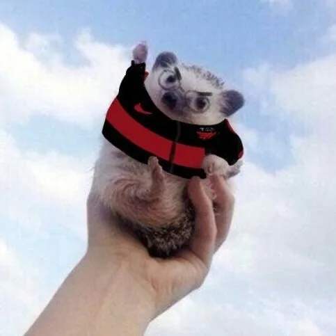 본머스주민