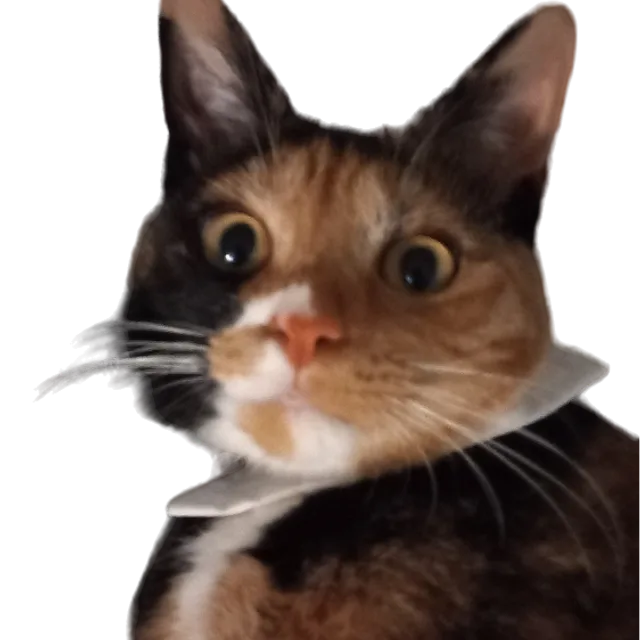 거너거노