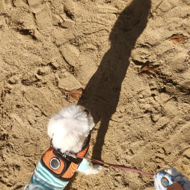 행복한집