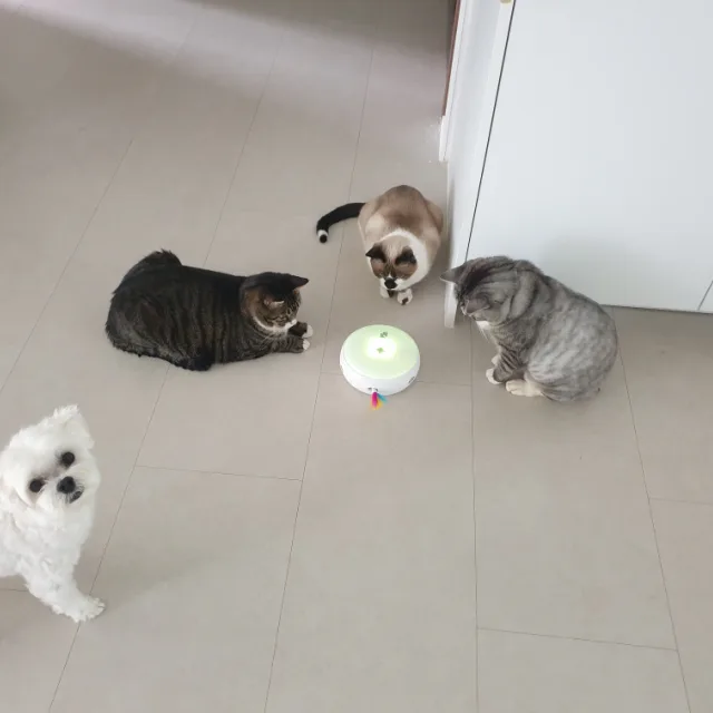 총총