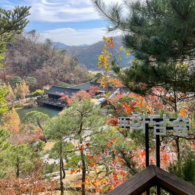사기꾼은접근금지