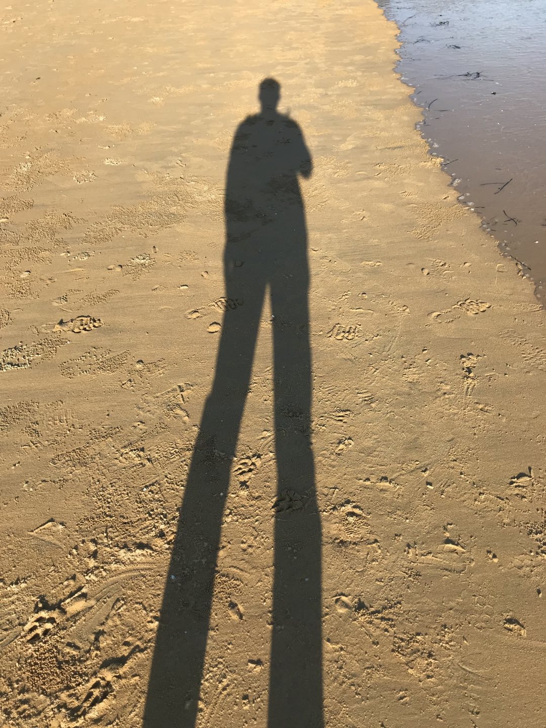 호편