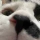 뿡뿡