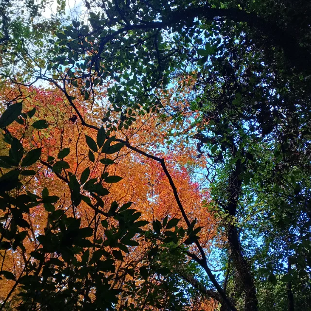 제주바람