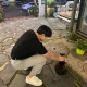 망고씨
