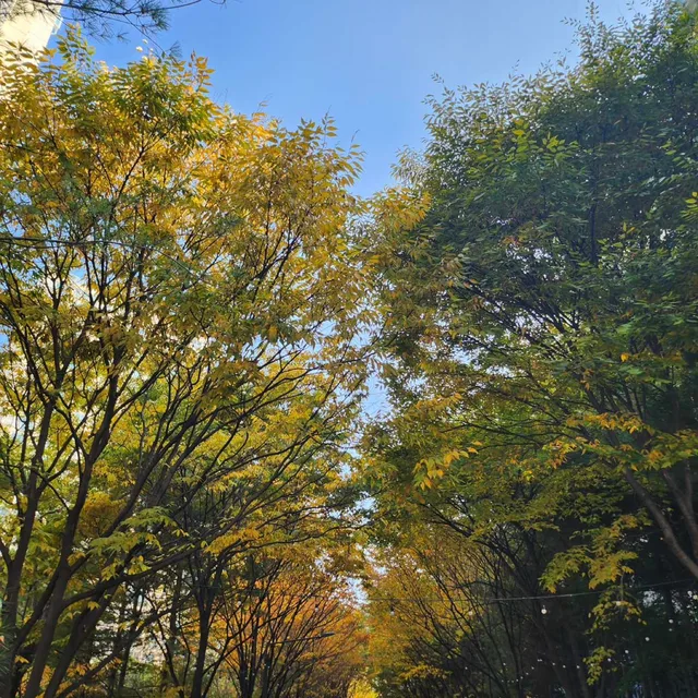 댱댱