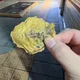 미니댕근