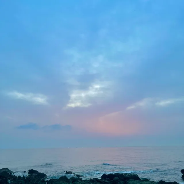 파프리카청춘이다