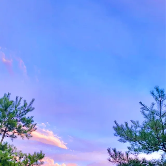 하늘과바다
