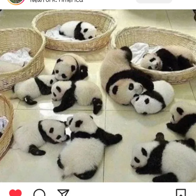 오드리뽕