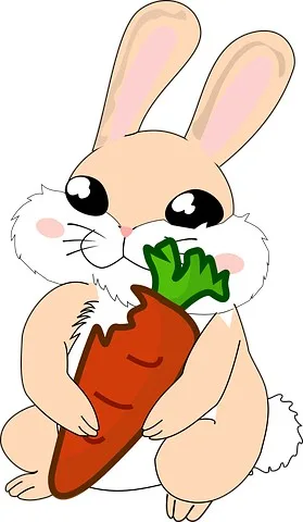 바니바니당근