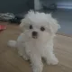 타르무드