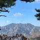 추풍