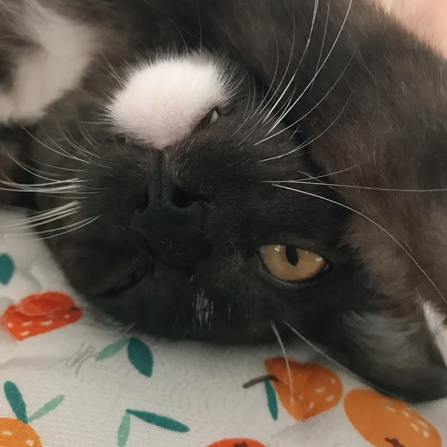 구루네