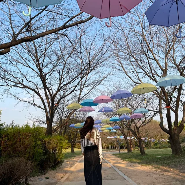 동이박이