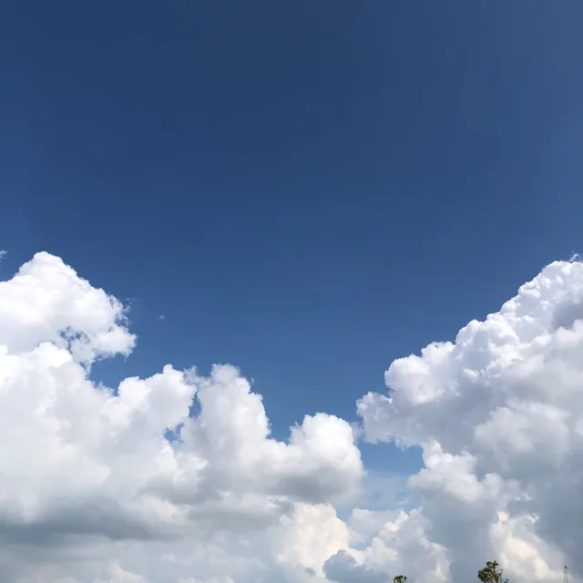 취향잡화