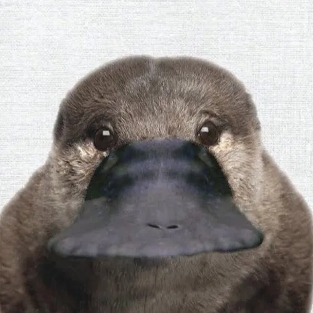 오리구너리