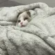 써니