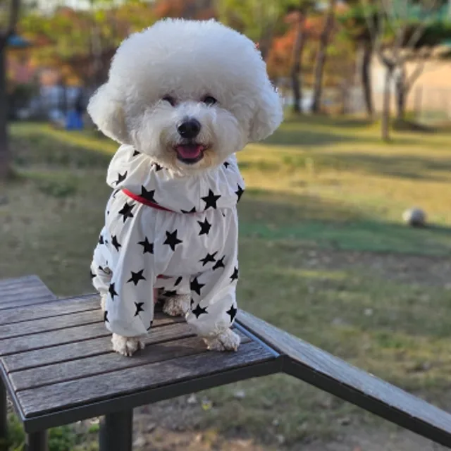 자두