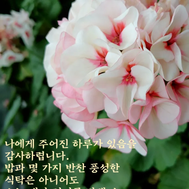 민뽀리맘