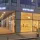 화이트화이트