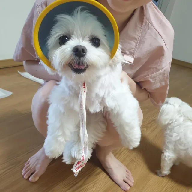 캐시