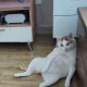 영남지사장