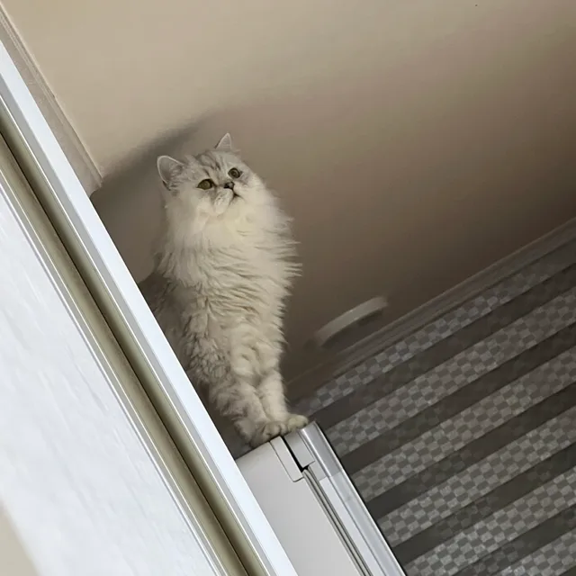 뭐하지