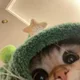 돈벌이하는고앵이