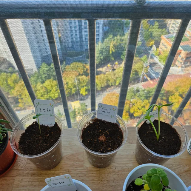 힐링